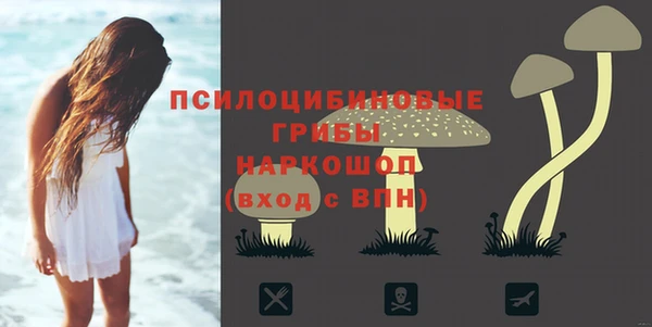a pvp Белокуриха