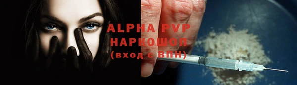 a pvp Белокуриха
