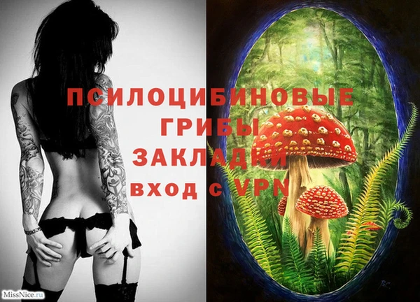 прущая мука Богданович