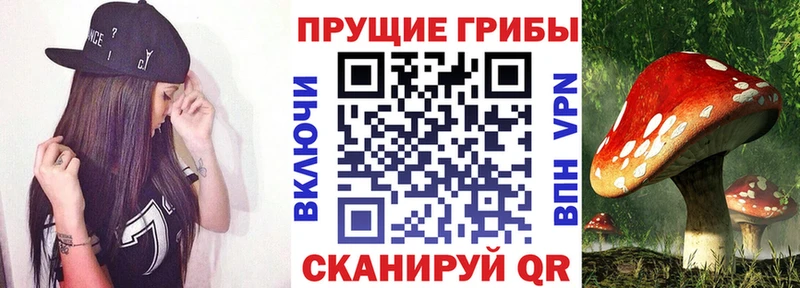 Псилоцибиновые грибы Magic Shrooms  KRAKEN вход  Бородино  где найти  